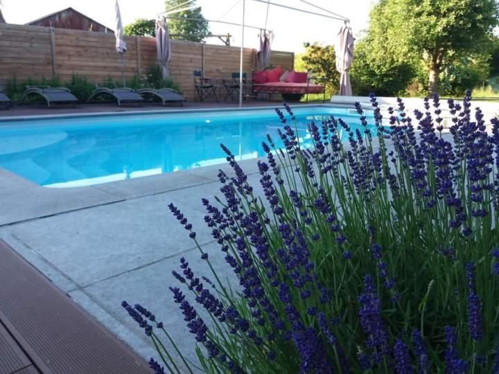 Chambres D Hotes ,Hotel ,Secret D'Une Nuit A Vicq Pres De Onnaing,Avec Piscine Bagian luar foto
