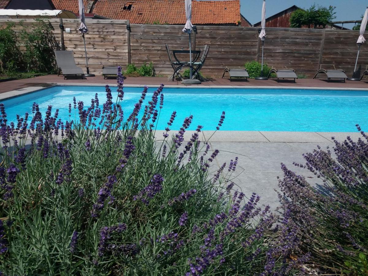 Chambres D Hotes ,Hotel ,Secret D'Une Nuit A Vicq Pres De Onnaing,Avec Piscine Bagian luar foto